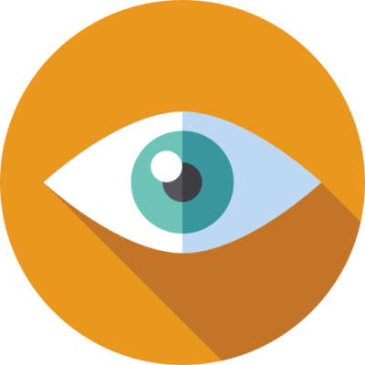 vision (1)